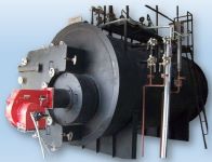 Gas fired boiler