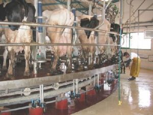 LPG for hot water at dairy farms